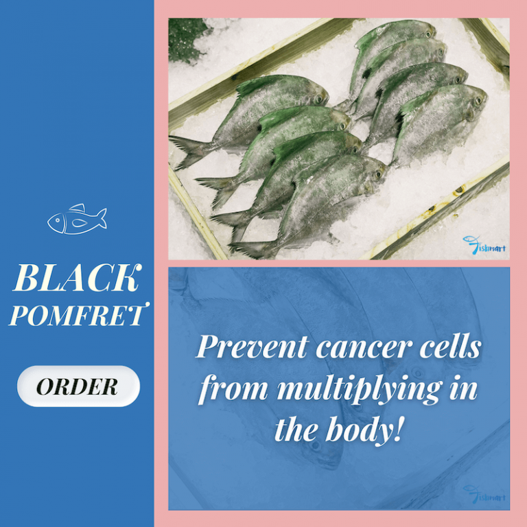 what is black pomfret fish