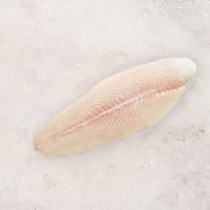 dory fish fillet
