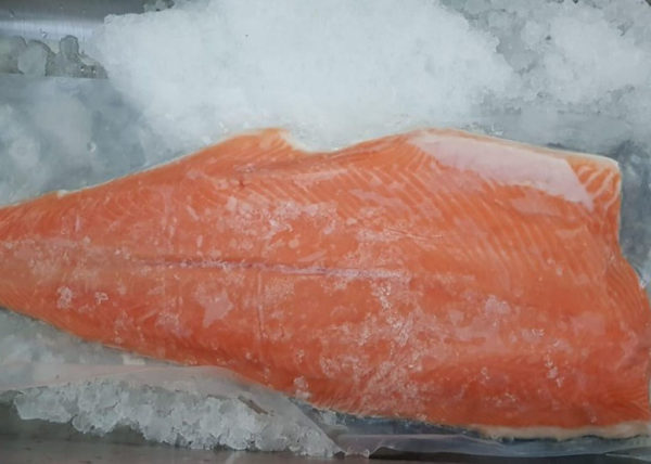 Fresh NZ king salmon